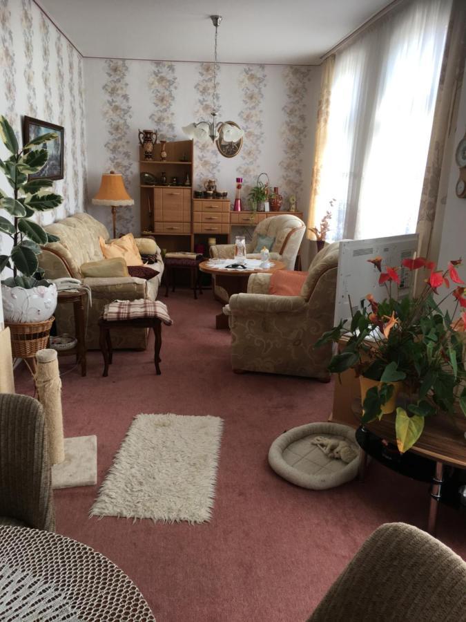 Ferienwohnung Bunte Stadt An Der Elde Grabow  Екстер'єр фото